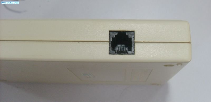 SL376255.JPG
